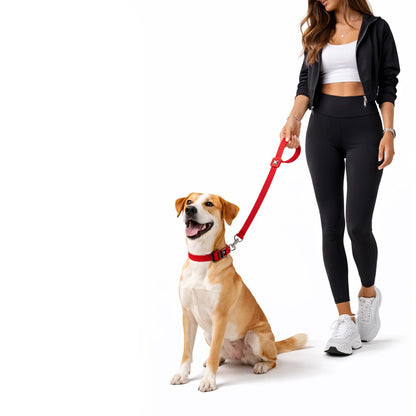 Solid, Düz Renk Dayanıklı Köpek Tasması