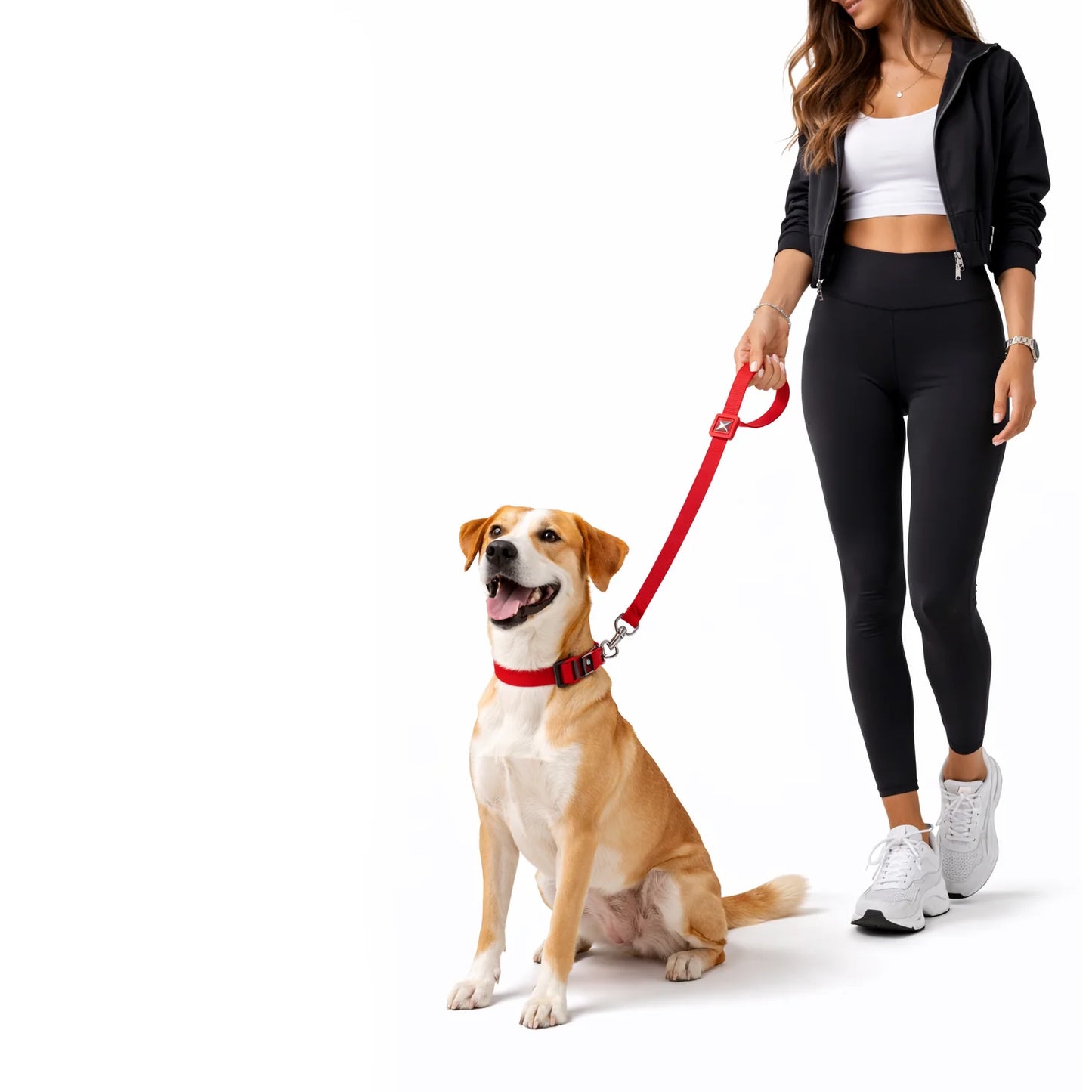 Solid, Düz Renk Dayanıklı Köpek Tasması