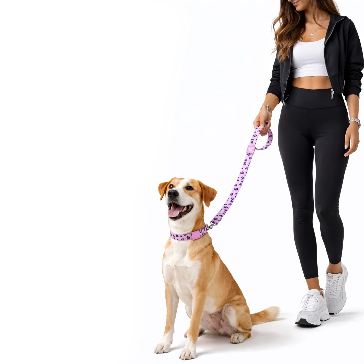 Desenli Geri Dönüştürülmüş Köpek Tasması