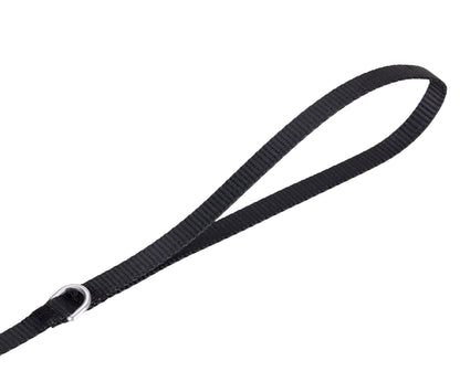 Solid, Düz Renk Dayanıklı Köpek Tasması