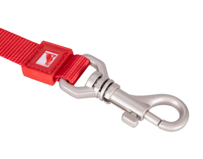 Solid, Düz Renk Dayanıklı Köpek Tasması