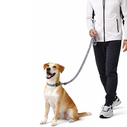 Desenli Geri Dönüştürülmüş Köpek Tasması